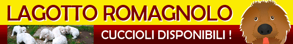 Cani da tartufi
