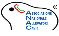 Associazione Nazionale Allevatori Cavie