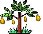 Agraria