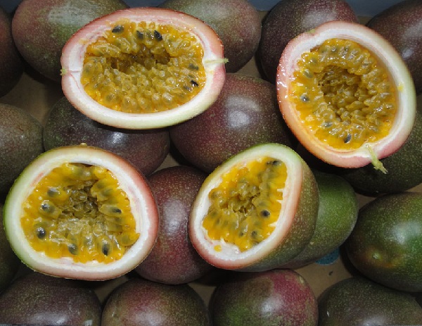 Frutti di Passiflora