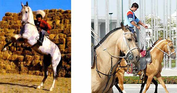 Cavallo Turkmenistano