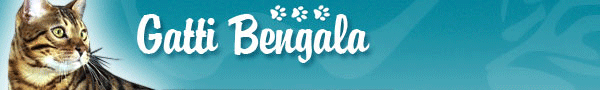 Allevamento Gatti Bengala