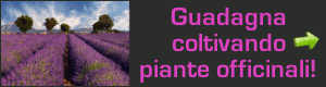 Crea una tua azienda di coltivazione di piante officinali