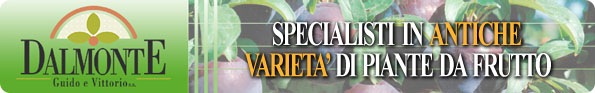 Vivai DalMonte