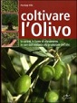 Coltivare l'olivo