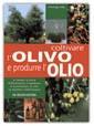 Coltivare l'olivo e produrre l'olio