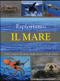 Esploriamo il mare