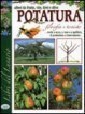Potatura, filosofia e Tecnica