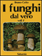 I funghi dal vero