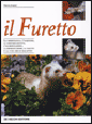 Il Furetto