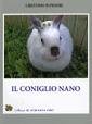 Il coniglio nano
