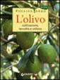 L'olivo