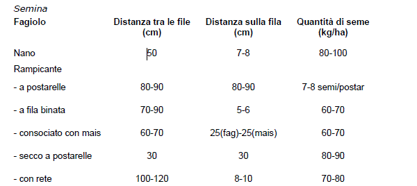 Fagioli di Sarconi IGP