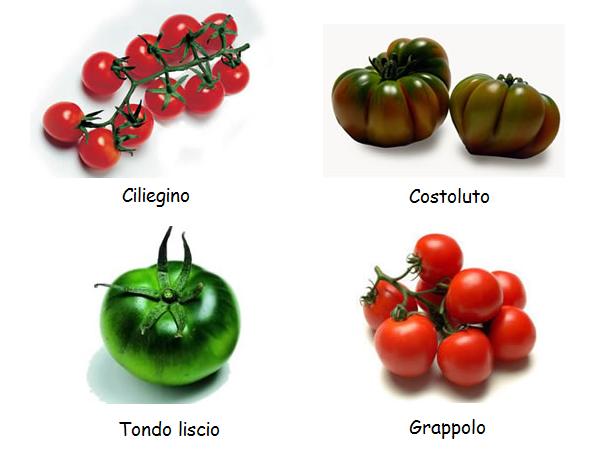 Pomodoro di Pachino IGP 