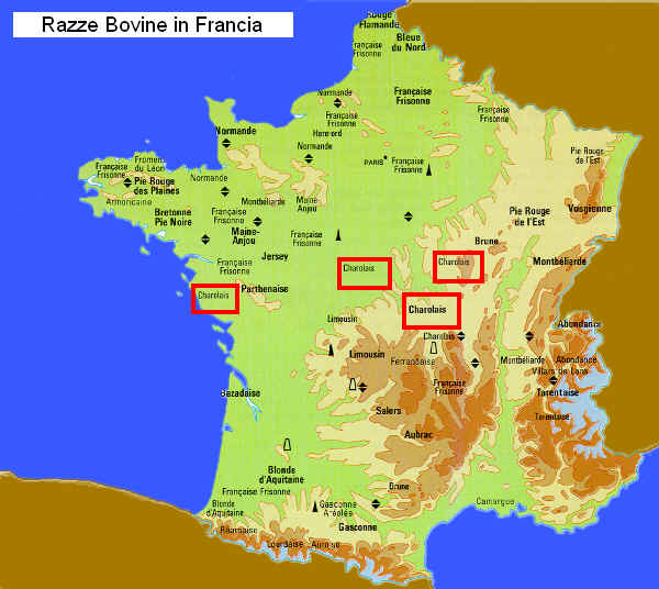 Zone di allevamento della razza Charolaise in Francia