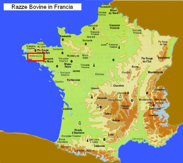Zona di allevamento della razza Armoricaine in Francia