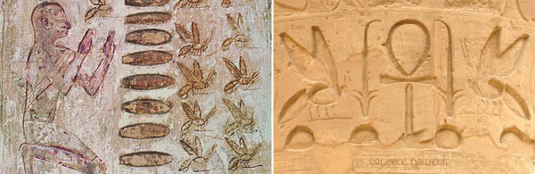 L'apicoltura nella storia
