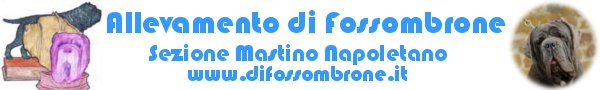 Allevamento di Fossombrone