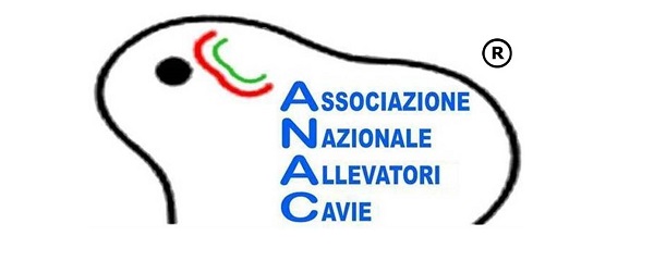 Associazione Nazionale Allevatori Cavie