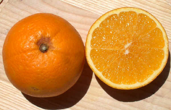 Arancio dolce 