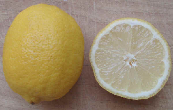 Limoni