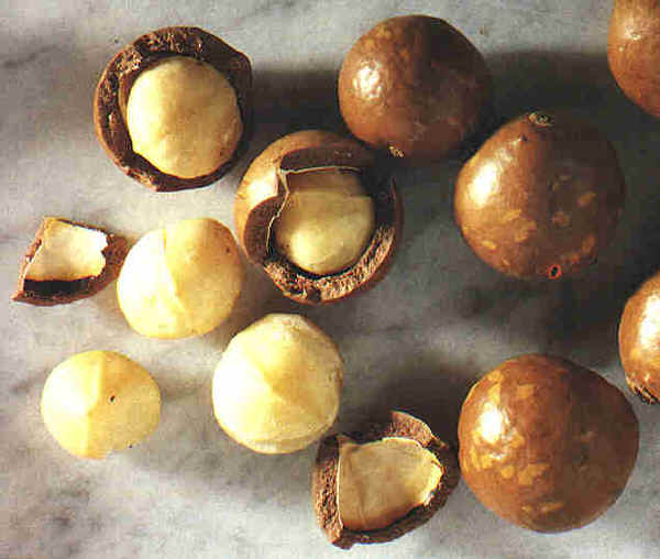 Frutti di Macadamia