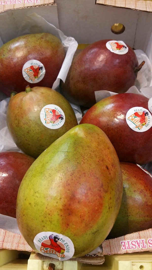 Frutti di Mango