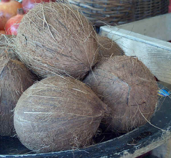 Noci di Cocco