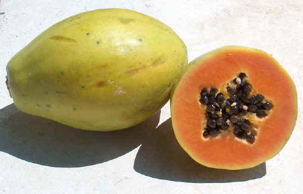 Frutti di Papaya 