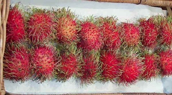 Frutti di Rambutan