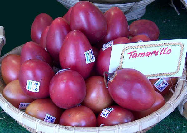 Frutti di Tamarillo 