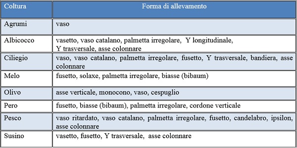 Forme di allevamento fruttiferi