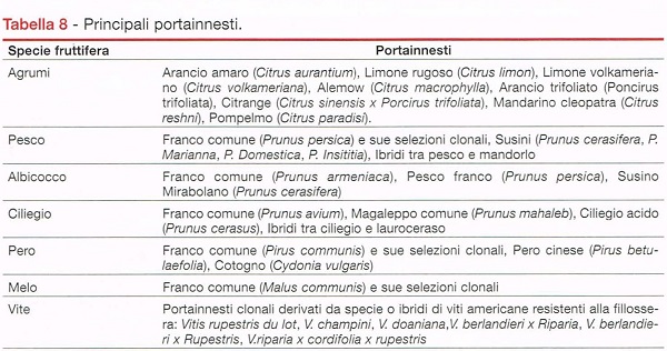 Principali portinnesti