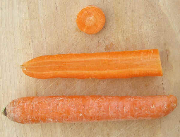 Radici di carota
