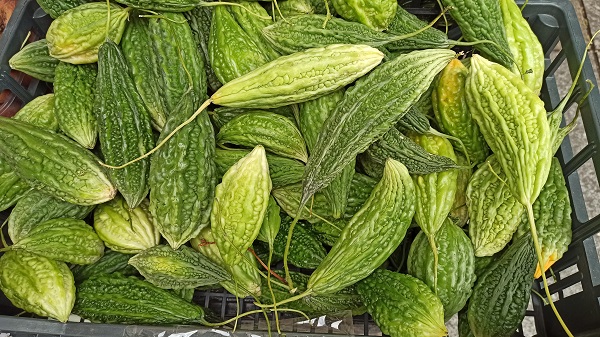 Frutti di Karela