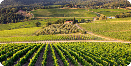 Estimo Economia agraria