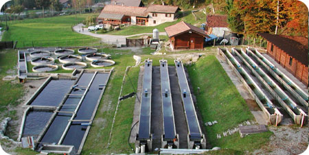 Atlante delle specie ittiche allevate in Italia