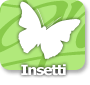 Insetti