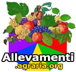 allevamenti.agraria.org