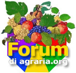 www.forumdiagraria.org