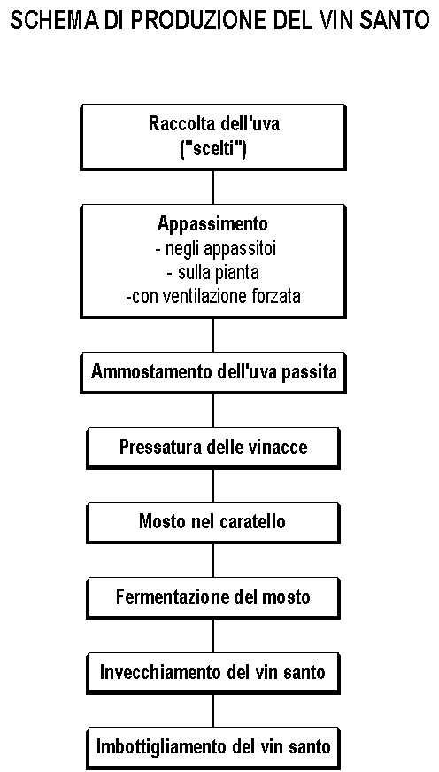 Schema di produzione del Vin Santo