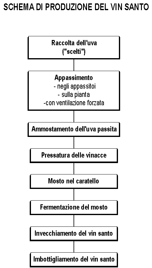 Schema di produzione del Vin Santo