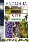 Il vino finalmente diventa “biologico”.  Le norme di riferimento