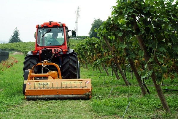 Trinciatutto al lavoro in un vigneto