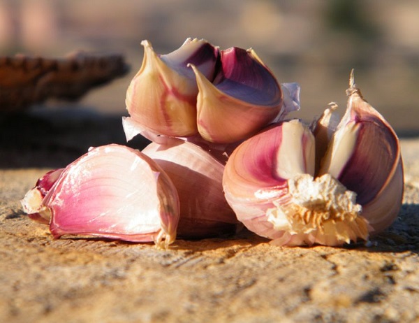 Aglio rosso di Nubia