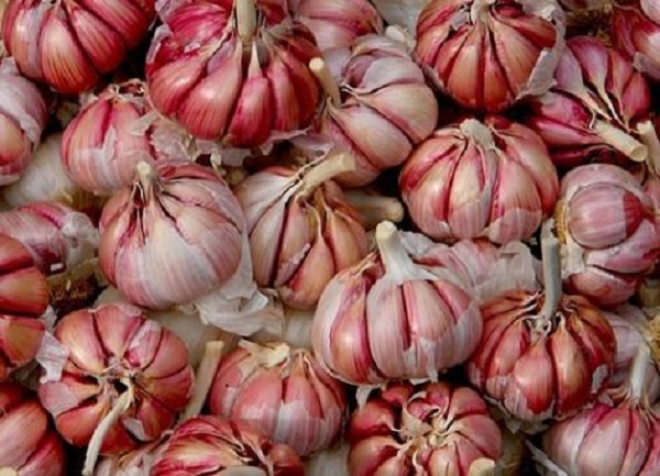 Aglio Rosso di Sulmona