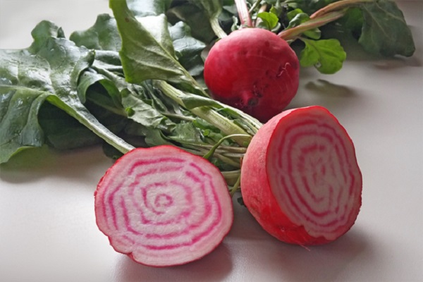 Barbabietola rossa di Chioggia