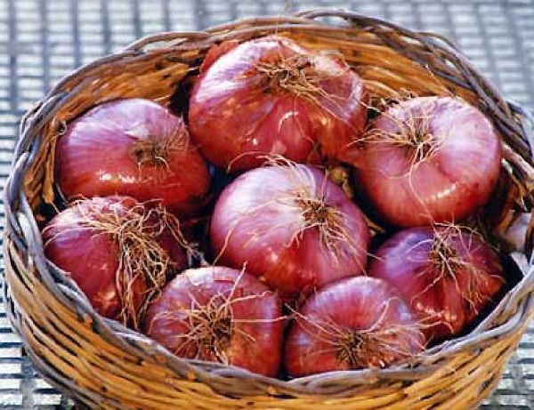 Cipolla Rossa di Acquaviva