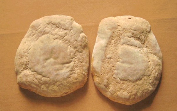 Pane di Regnano