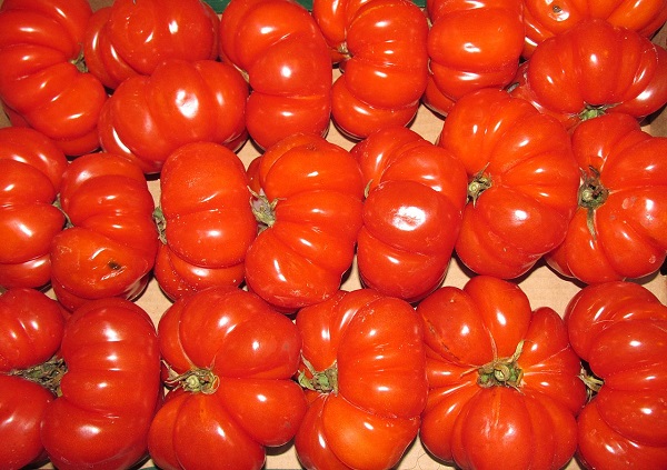 Pomodoro costoluto fiorentino